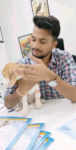 WhatsApp Image 2025-06-28 at 20.54.45 (1)