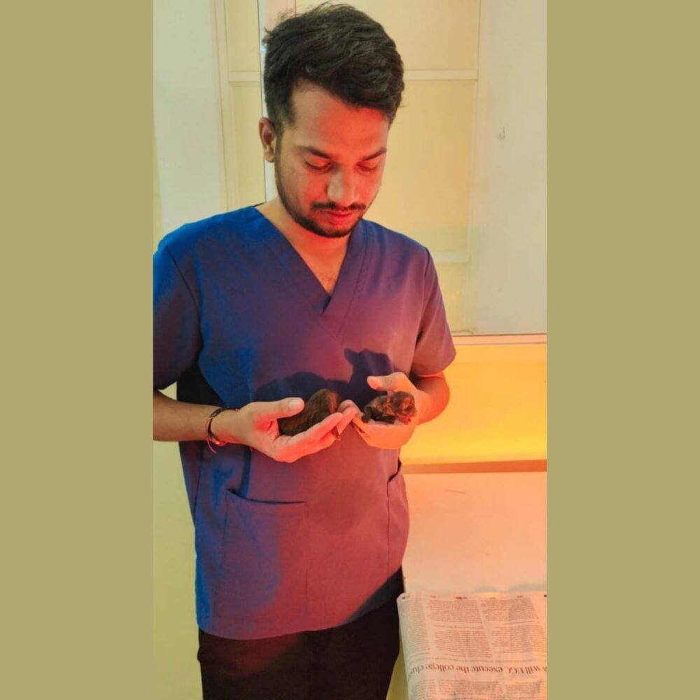 WhatsApp Image 2025-06-30 at 19.33.24