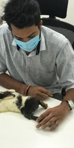 WhatsApp Image 2025-06-30 at 19.37.52 (1)