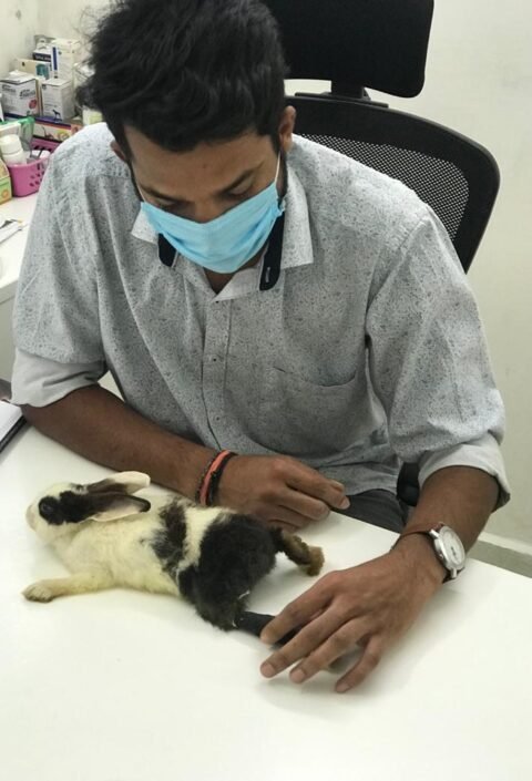 WhatsApp Image 2025-06-30 at 19.37.52 (1)