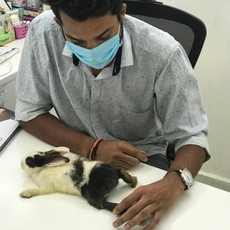 WhatsApp Image 2025-06-30 at 19.37.52 (1)