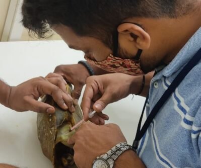 WhatsApp Image 2025-06-30 at 19.37.52