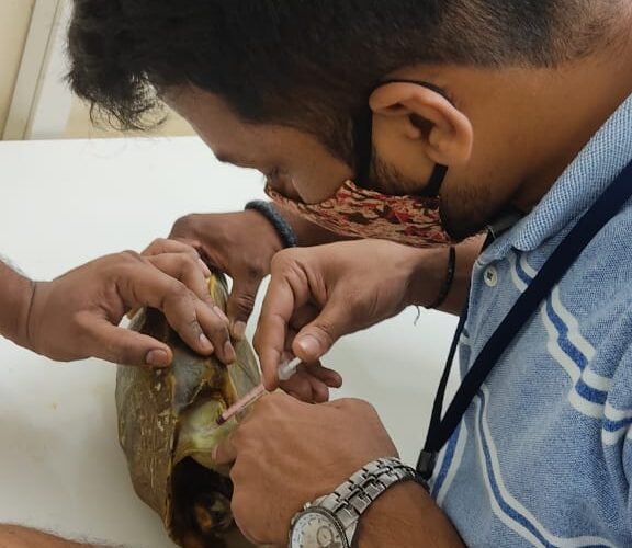 WhatsApp Image 2025-06-30 at 19.37.52